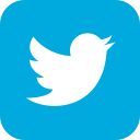 Twitter Social Link